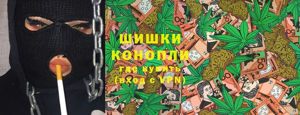 мдпв Волоколамск
